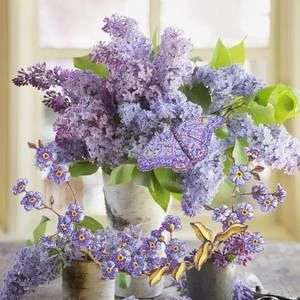 Meet your Posher, Arlene